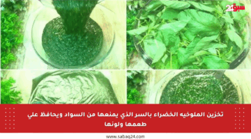 تخزين الملوخية الخضراء بالسر الذي يمنعها من السواد ويحافظ على طعمها ولونها